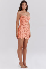 Ilayda Sorbet Embroidered Floral Lace Mini Dress