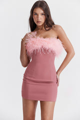 Alexa Warm Pink Mini Dress