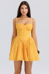 Carolina Apricot Lace Corset Mini Dress