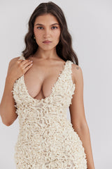 Carena Creme Plunge Floral Appliqué Maxi Dress