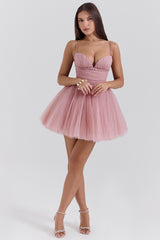 Princess French Rose Tulle Mini Dress - SALE
