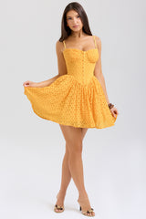 Carolina Apricot Lace Corset Mini Dress