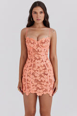 Ilayda Sorbet Embroidered Floral Lace Mini Dress