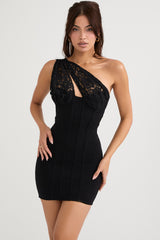 Lily Black Lace Mini Dress